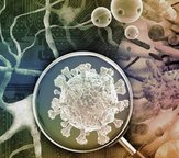 collage showing microbes, cells, neurons, and other biological figures