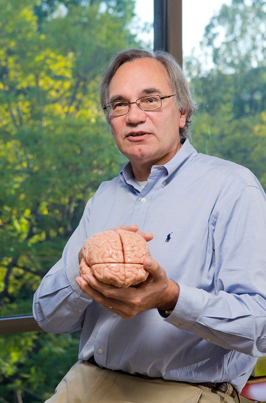 Richard Andersen holding a model of a brain.