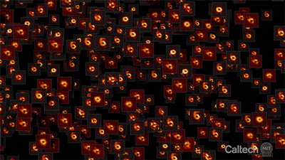 Black Hole composite