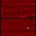 Galileo images of lightning on Jupiter
