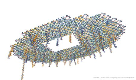 A coarse-grained model of the DNA origami looks like a colorful disk with a square gap in the middle reminiscent of a lilypad. Tails of helical DNA hang from the disk, representing redox reporters.