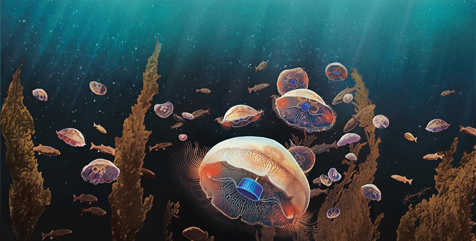 illustration of jellyfish with prosthetic