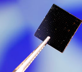 black square of material held with tweezers