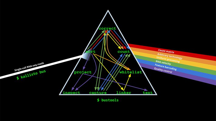 prism with "Single-cell RNA-seq reads" coming in a single stream