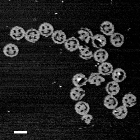 Multiple small smiley faces are irregularly placed around the black and white microscope image.